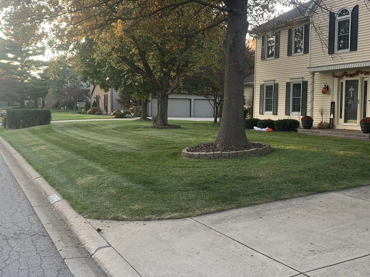 Lawn Care