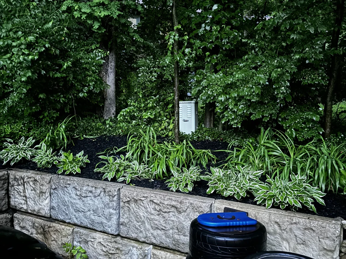 Mulching in Notre Dame