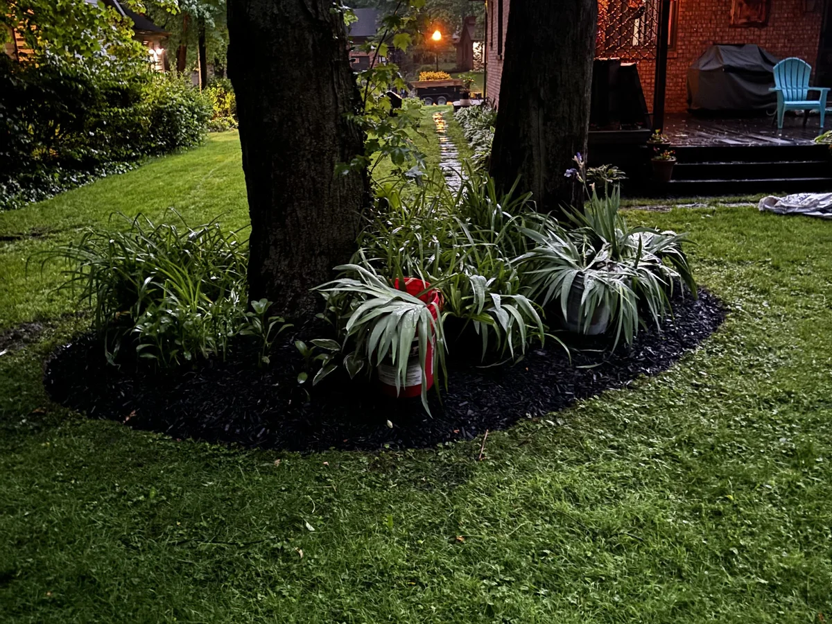 Mulching in Notre Dame