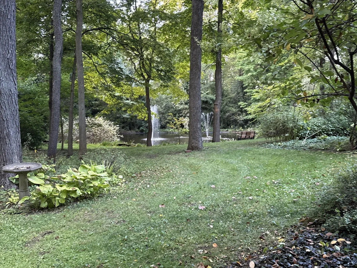 Landscape Maintenance