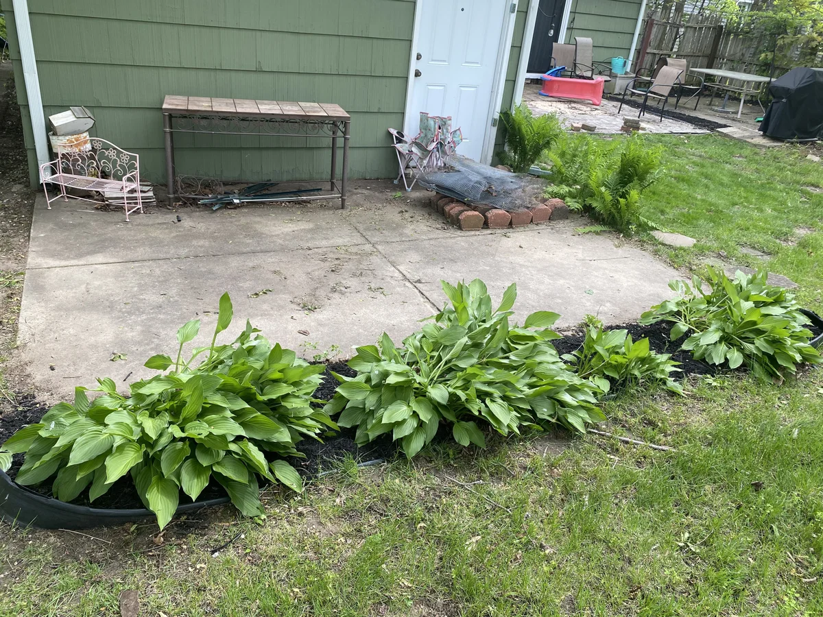 Seasonal Cleanup