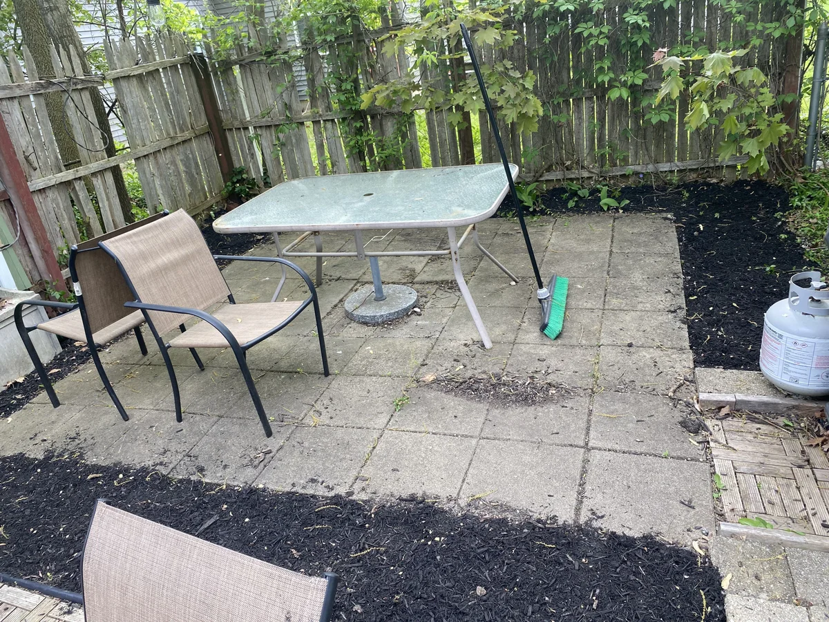 Seasonal Cleanup