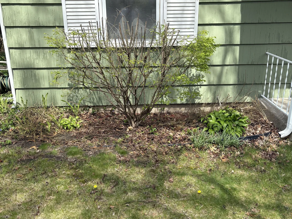 Seasonal Cleanup in South Bend