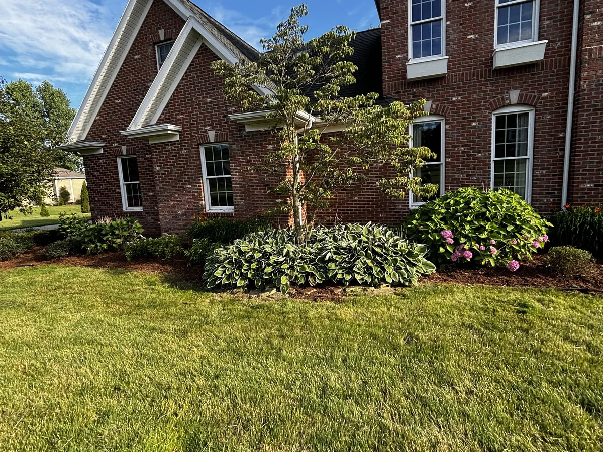 Shrub & Tree Planting