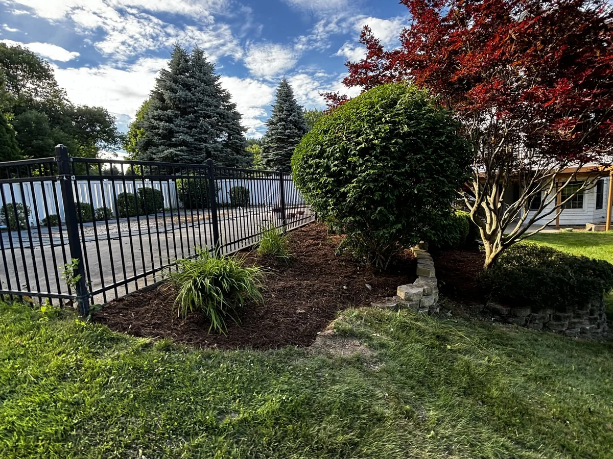 Shrub & Tree Planting