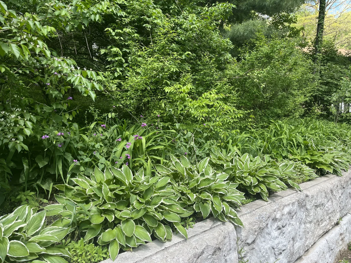 Hardscaping